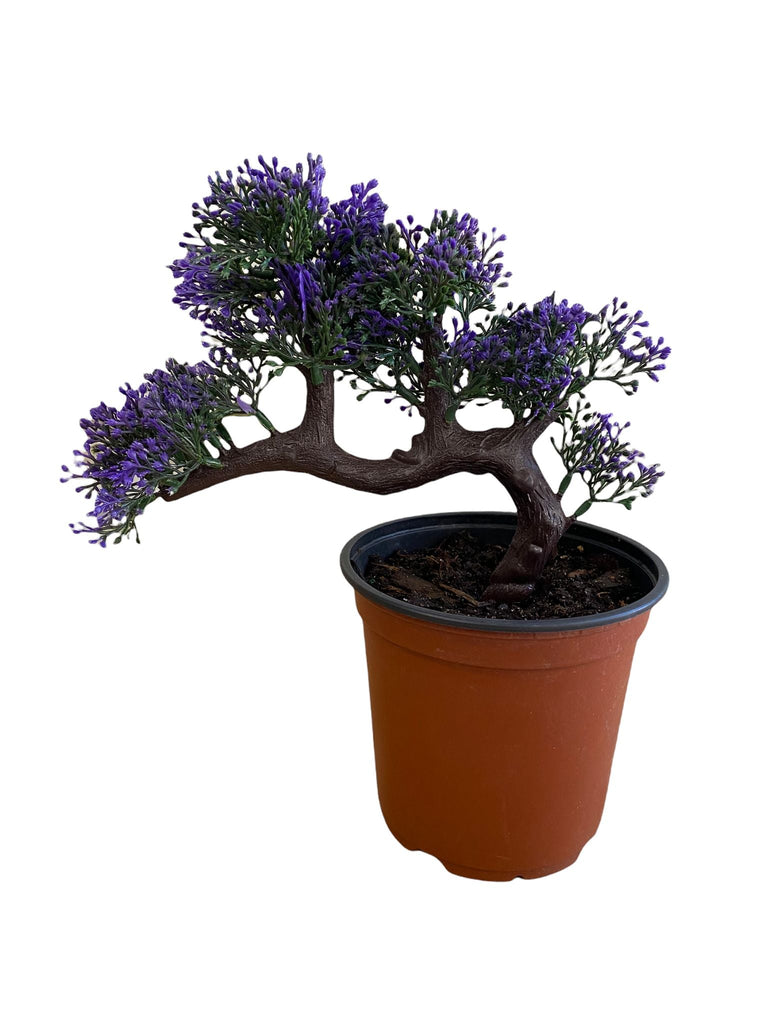 Gorgeous Bonsai with Very Attractive Pot violet colored -Excellent Christmas Gift.. Looks Almost Real, Without The Hassle of Maintenance and Dying (Artificial Plant)