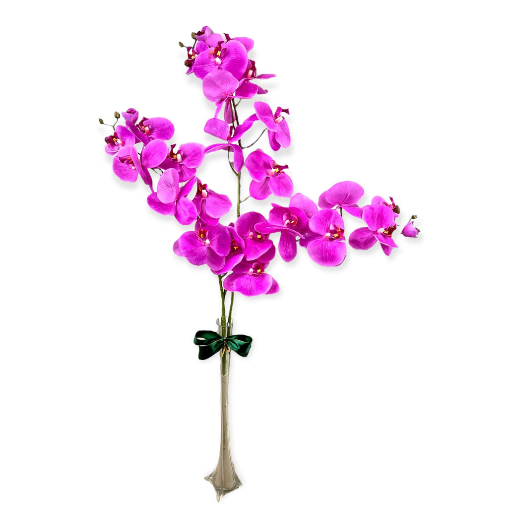 Stunning Orchids in Glass Vase in Different Vase Size