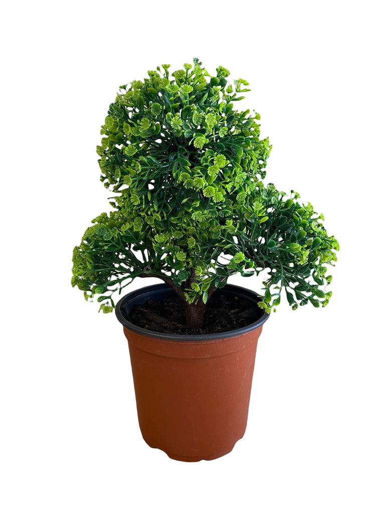 Gorgeous Bonsai with Very Attractive Pot with color of your choice (Green, Pink or Yellow)-Excellent Gift.. Looks Almost Real, Without The Hassle of Maintenance and Dying (Artificial Plant)