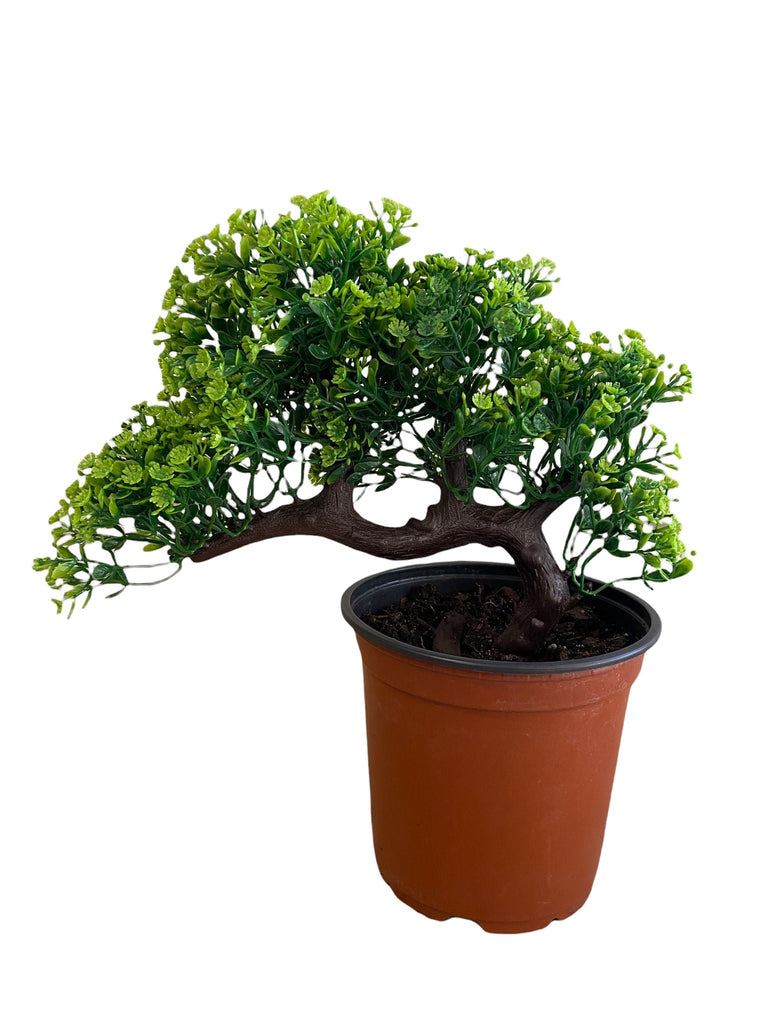 Gorgeous Bonsai with Very Attractive Pot with Green Colored Leaves-Excellent Christmas Gift.. Looks Almost Real, Without The Hassle of Maintenance and Dying (Artificial Plant)