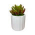 Gorgeous Artificial Succulent in Ceramic Pot