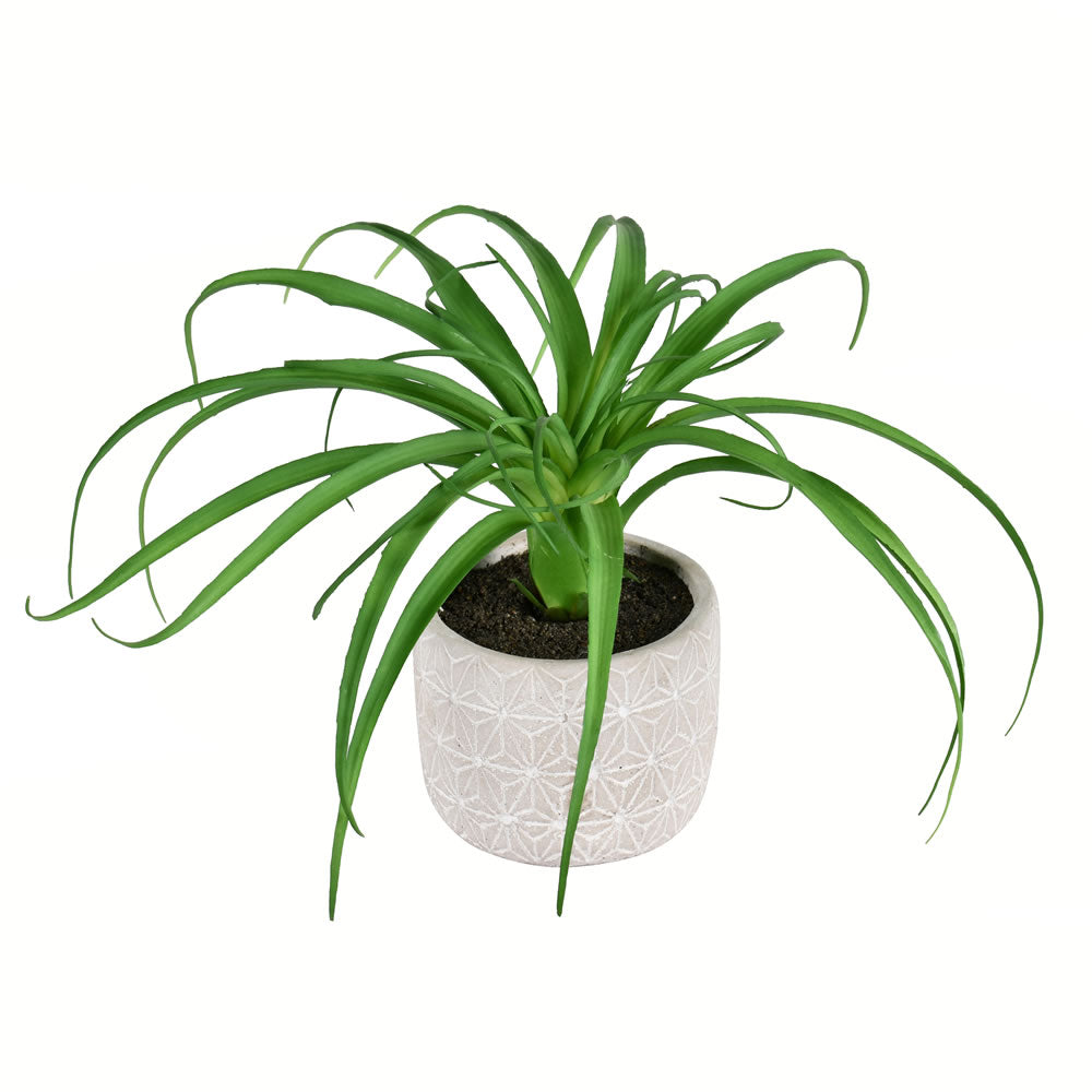 Artificial Plant : Green Succulent in Container 2 Pack - From World Famous Vickerman Products
