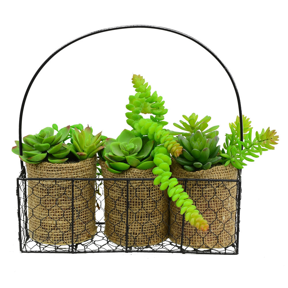 Artificial Plant : Assorted Succulents in Galvanized Hanger - From World Famous Vickerman Products