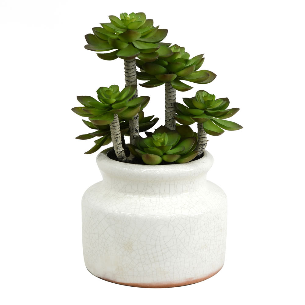 Artificial Plant : Green Succulent in Round Ceramic Pot- From World Famous Vickerman Products