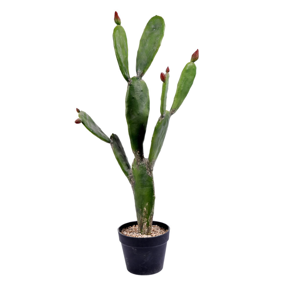 Artificial Plant: Green Potted Cactus- From World Famous Vickerman Products