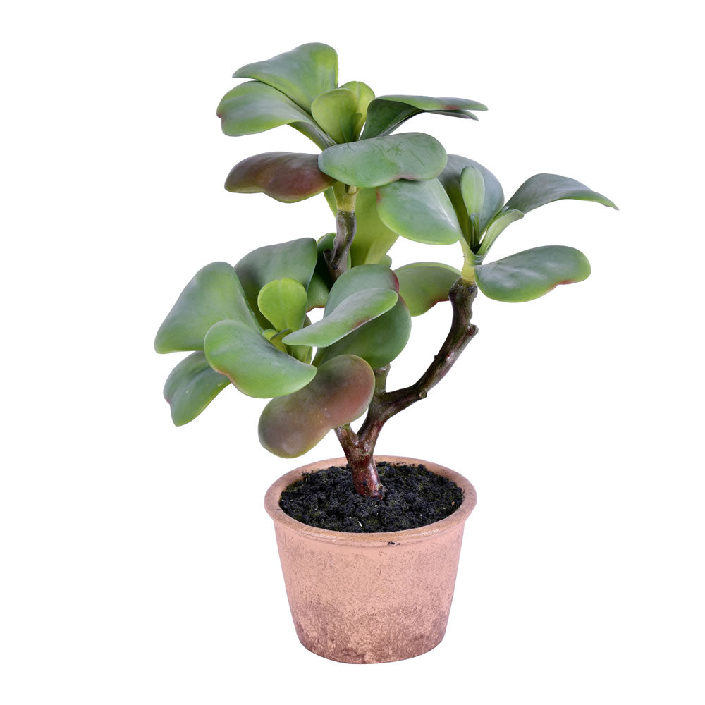 Artificial Plant : 14 Inch Green Potted Succulent- From World Famous Vickerman Products