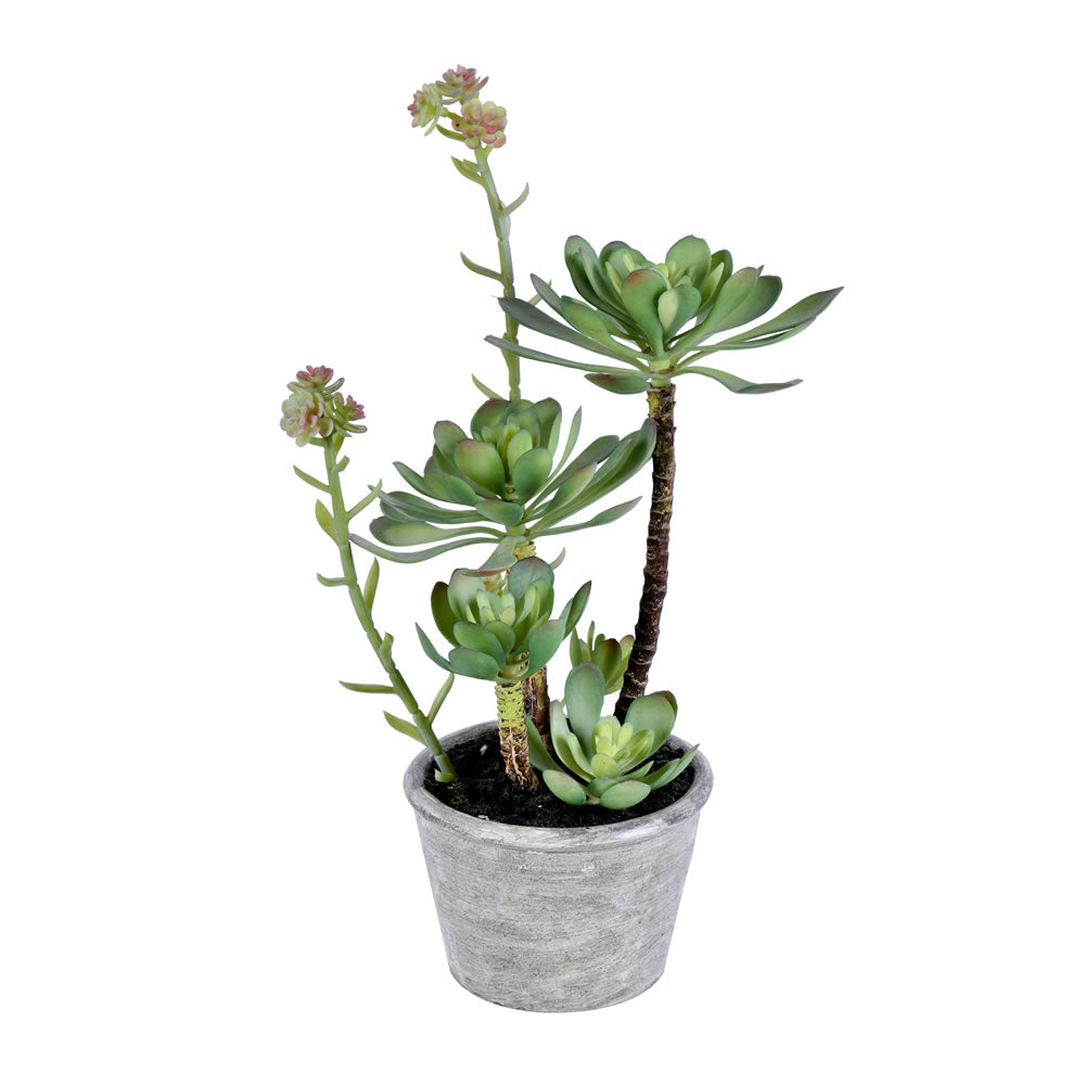 Artificial Plant : 13.5 Inch Green Potted Succulent - From World Famous Vickerman Products