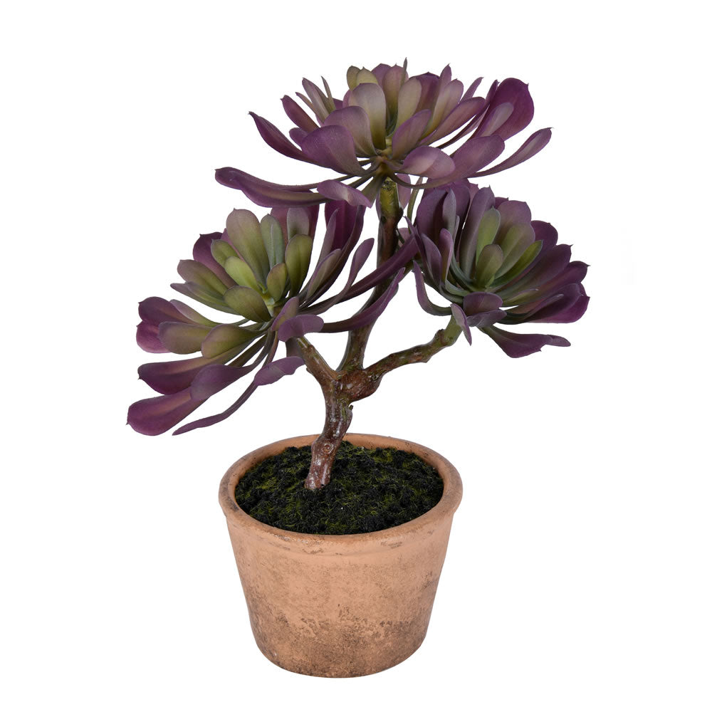 Artificial Plant : Purple/Green Succulent in Paper Pot - From World Famous Vickerman Products