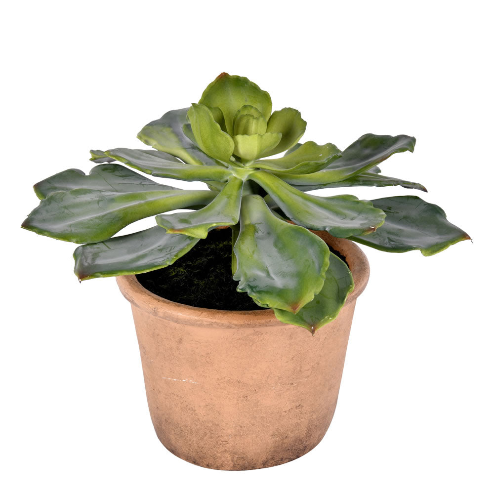 Artificial Plant : 9 Inches Green Potted Succulent - From World Famous Vickerman Products