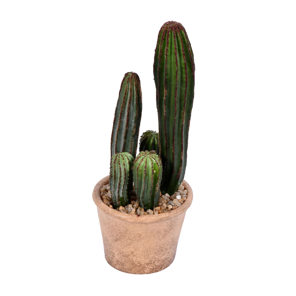 Artificial Plant : 10.5 Inches Green Potted Cactus - From World Famous Vickerman Products