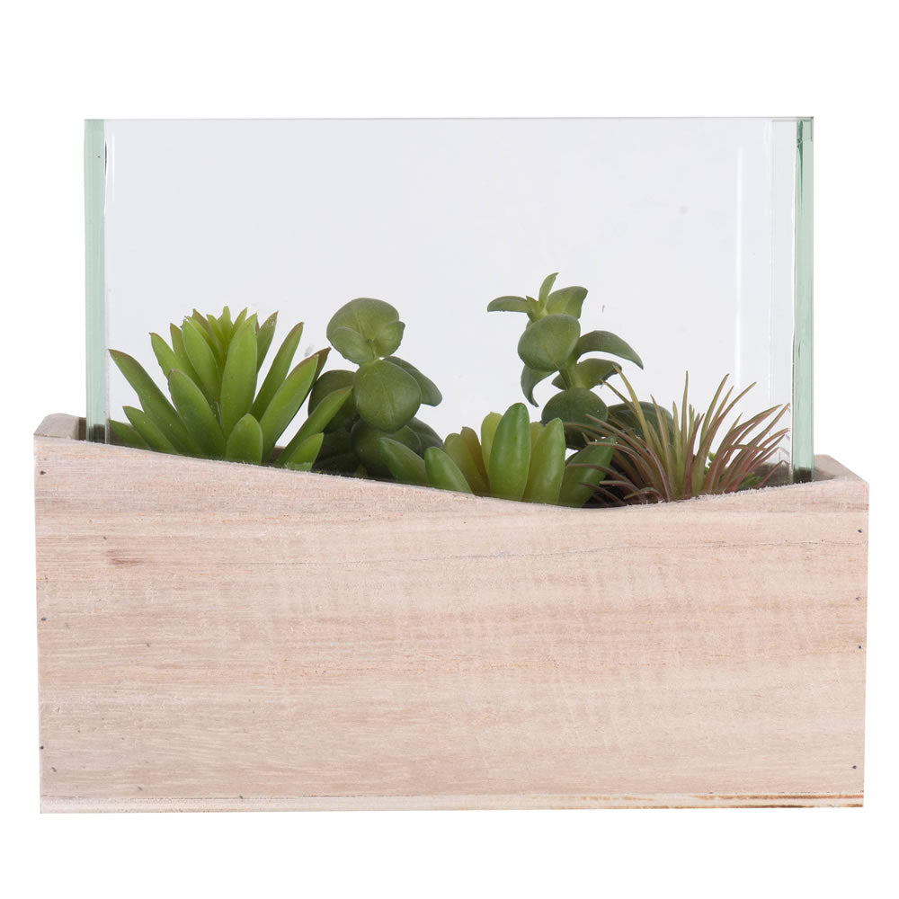 Artificial Plant : 6 Inches Assorted Succulents in Glass - From World Famous Vickerman Products
