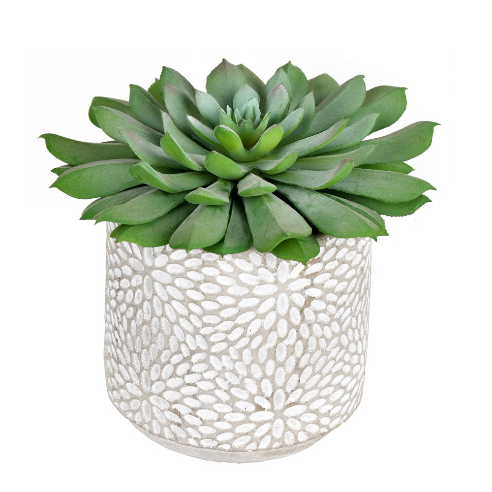 Artificial Plant : Green Potted Succulent 2 per Pack - From World Famous Vickerman Products
