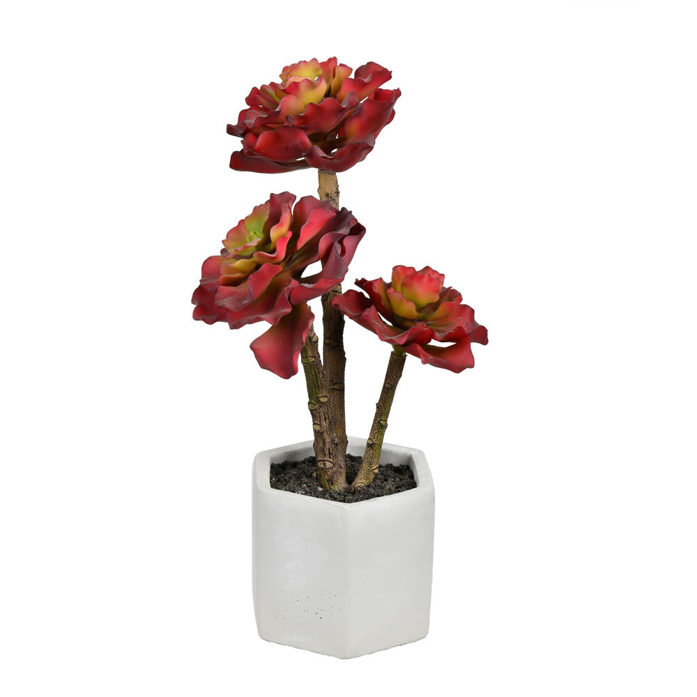 Artificial Plant : Red or Green Potted Succulent - From World Famous Vickerman Products