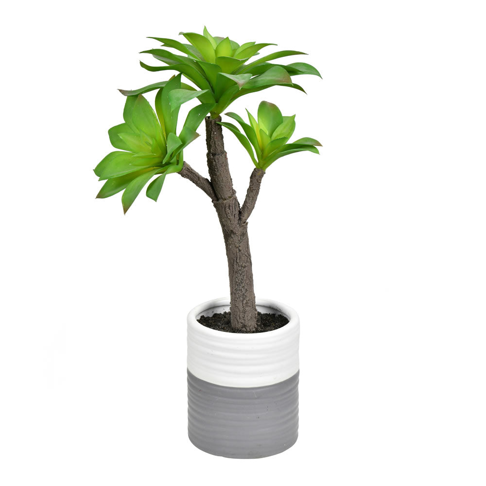 Artificial Plant : 15 Inches Green Potted Succulent - From World Famous Vickerman Products