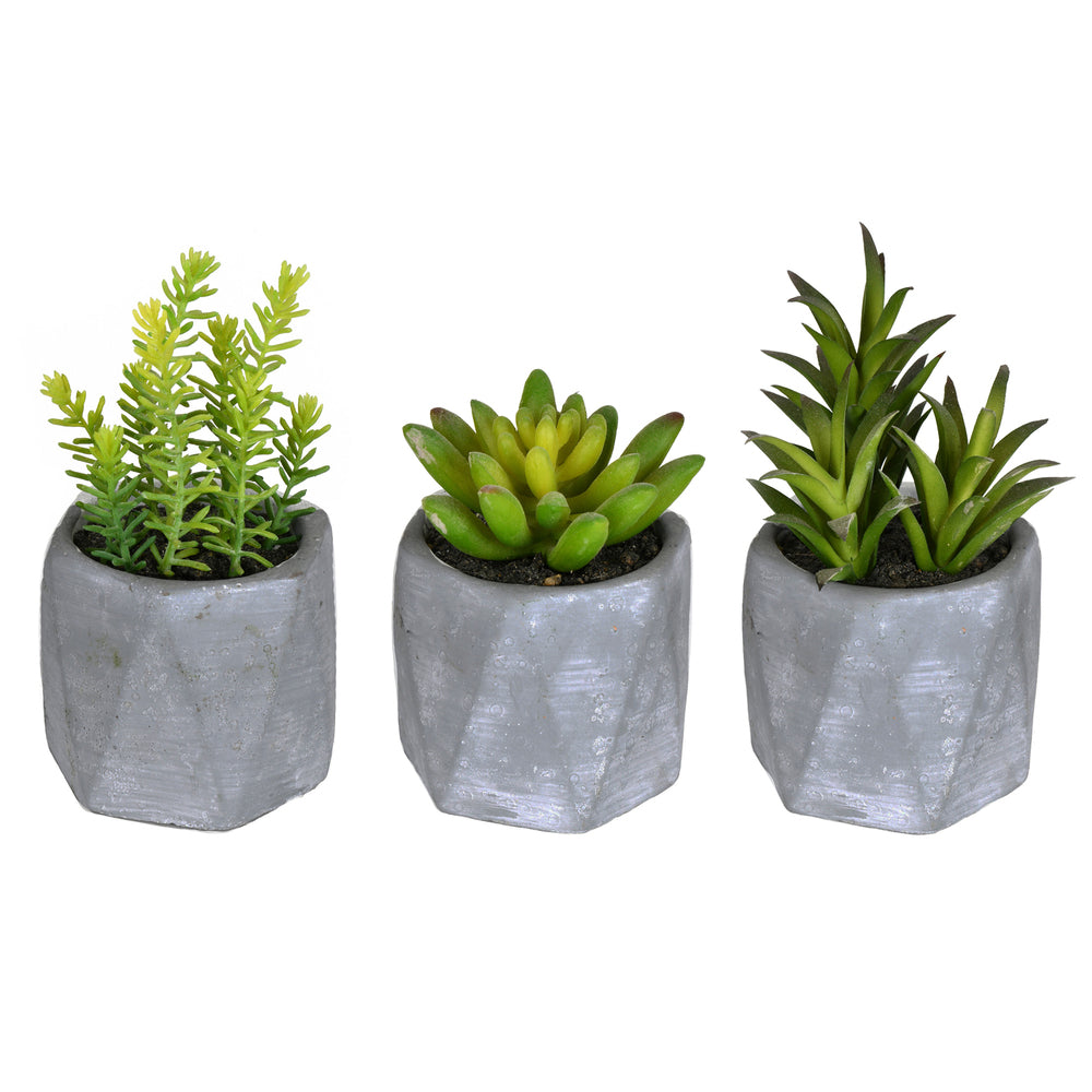 Artificial Plant : Potted Succulent Set of 3 Assorted - From World Famous Vickerman Products