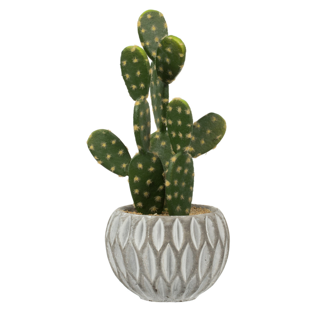 Artificial Plant : Green Potted Cactus Set of 3 Assorted - From World Famous Vickerman Products