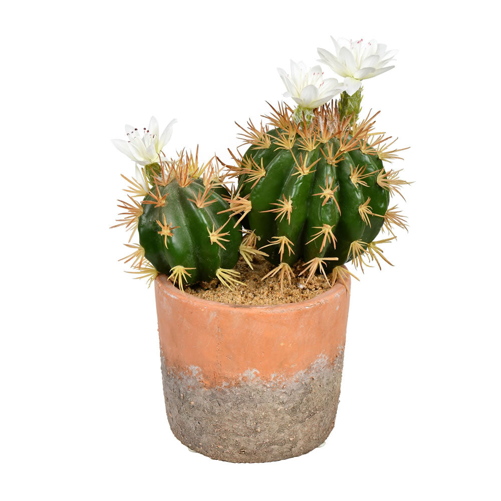 Artificial Plant : 9 Inches Green Potted Cactus - From World Famous Vickerman Products