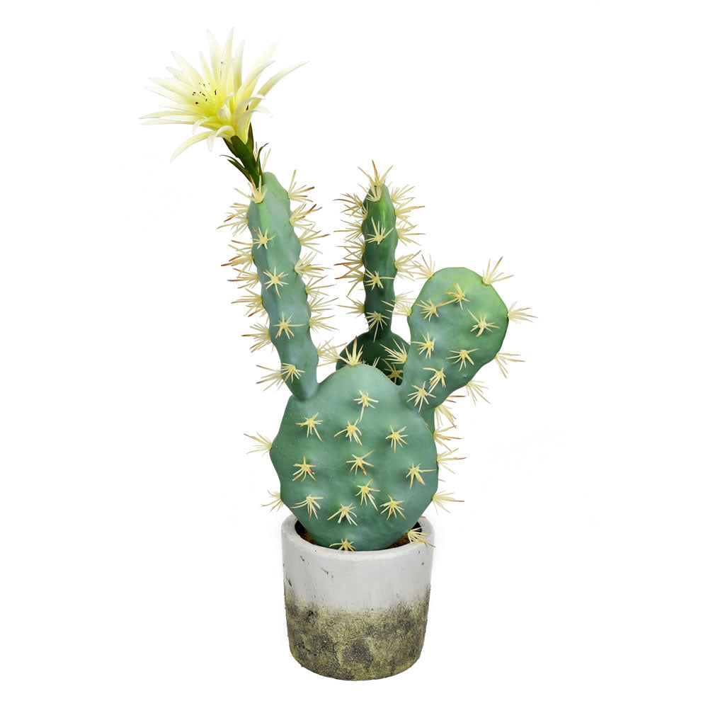 Artificial Plant : 18 Inch Green Potted Cactus - From World Famous Vickerman Products