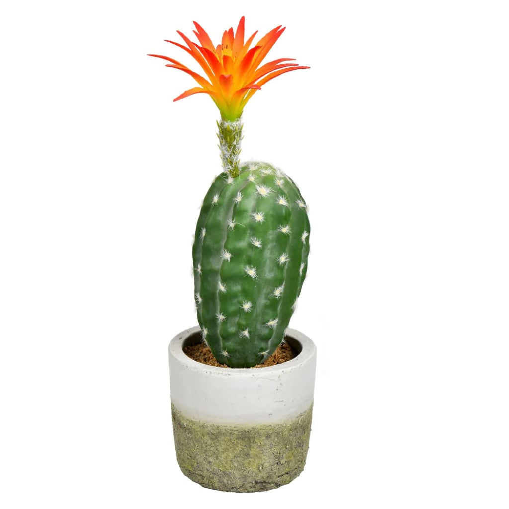 Artificial Plant : 12 Inches Green Potted Cactus - From World Famous Vickerman Products