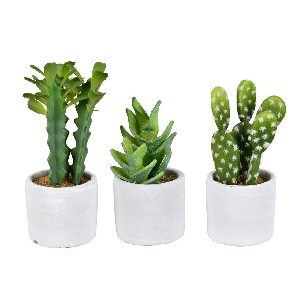 Artificial Plant : Green Potted Cactus Set of 3 - From World Famous Vickerman Products