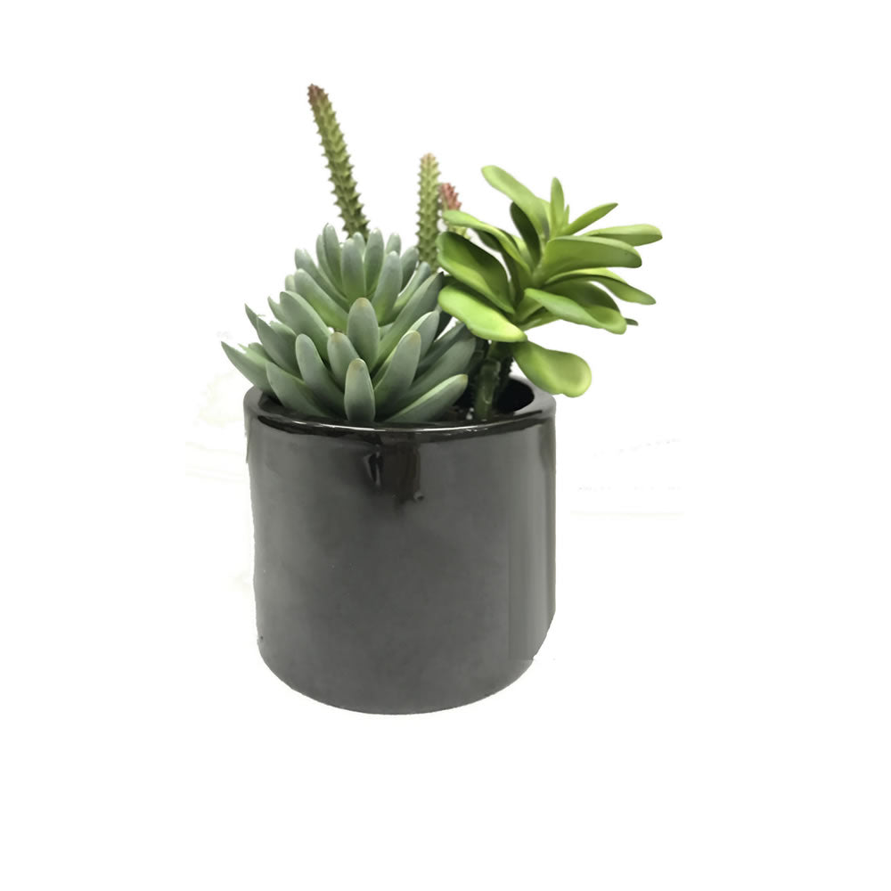 Artificial Plant : Green Succulents in Cement Pot- From World Famous Vickerman Products