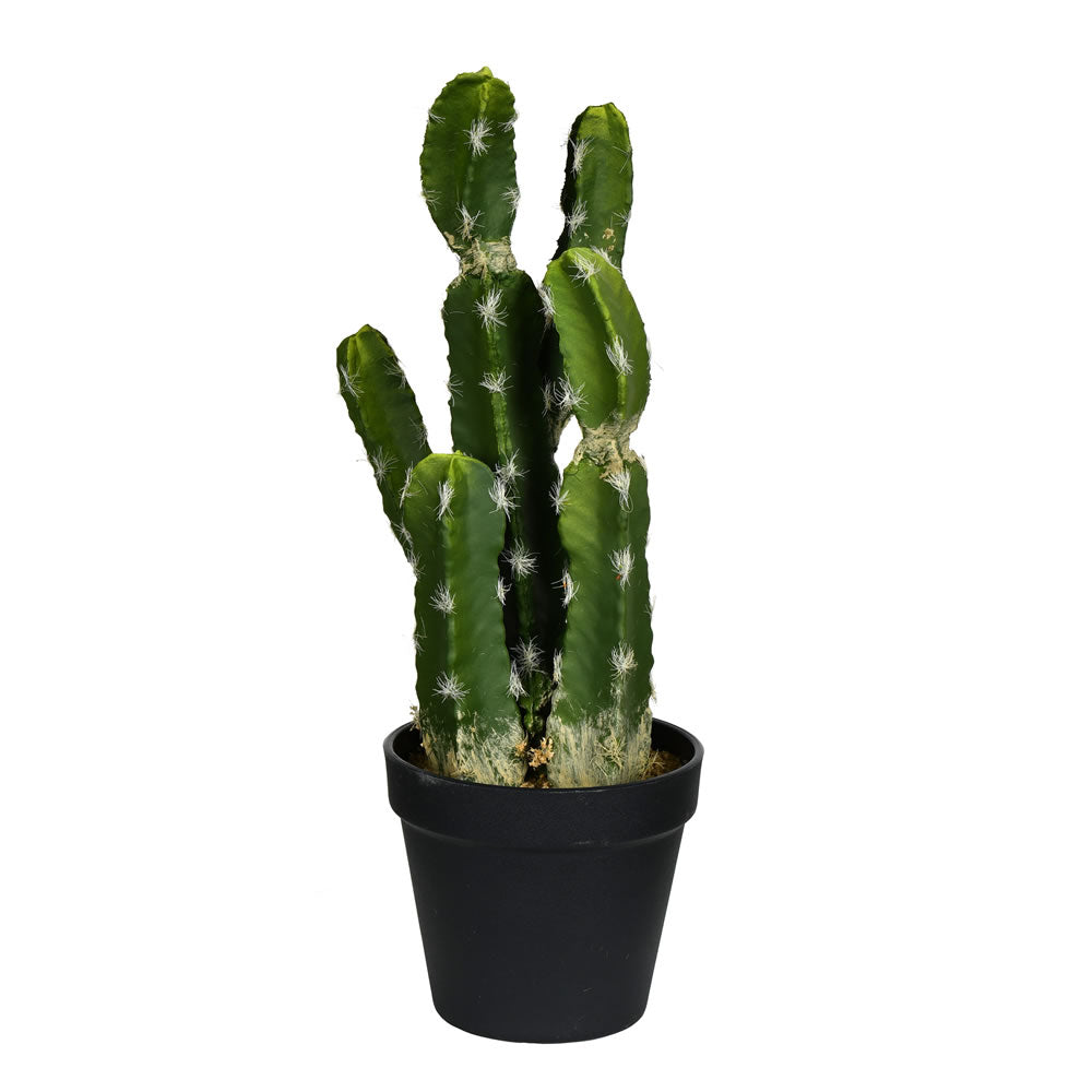 Artificial Plant : 14 or 34 Inches Green Potted Cactus - From World Famous Vickerman Products