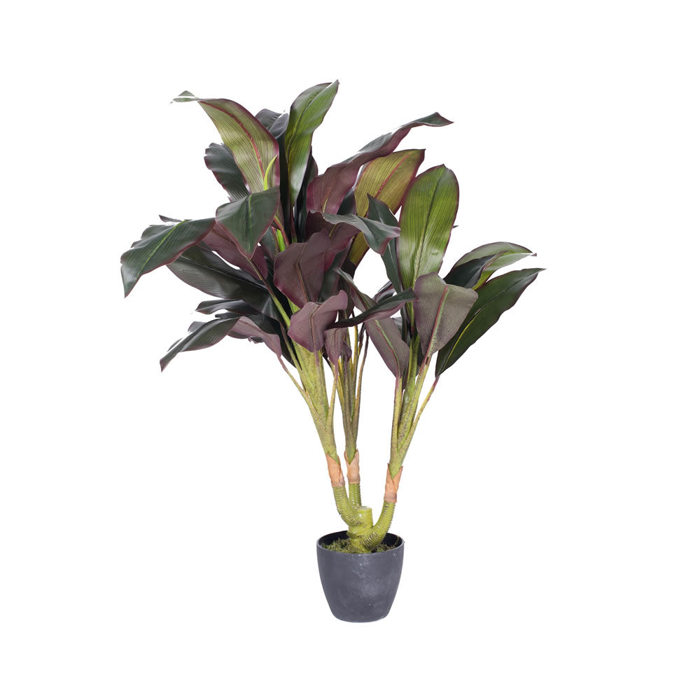 Artificial Plant : Real Touch Dracaena in pot - From World Famous Vickerman Products