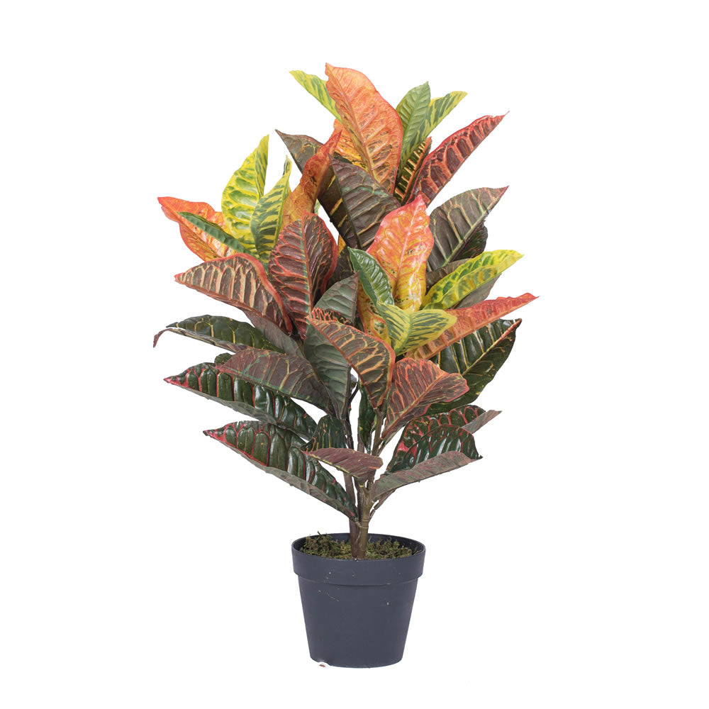 Artificial Plant : Potted Real touch croton - From World Famous Vickerman Products