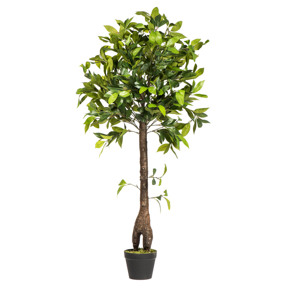 Artificial Plant : Camellia Tree in Pot - From World Famous Vickerman Products