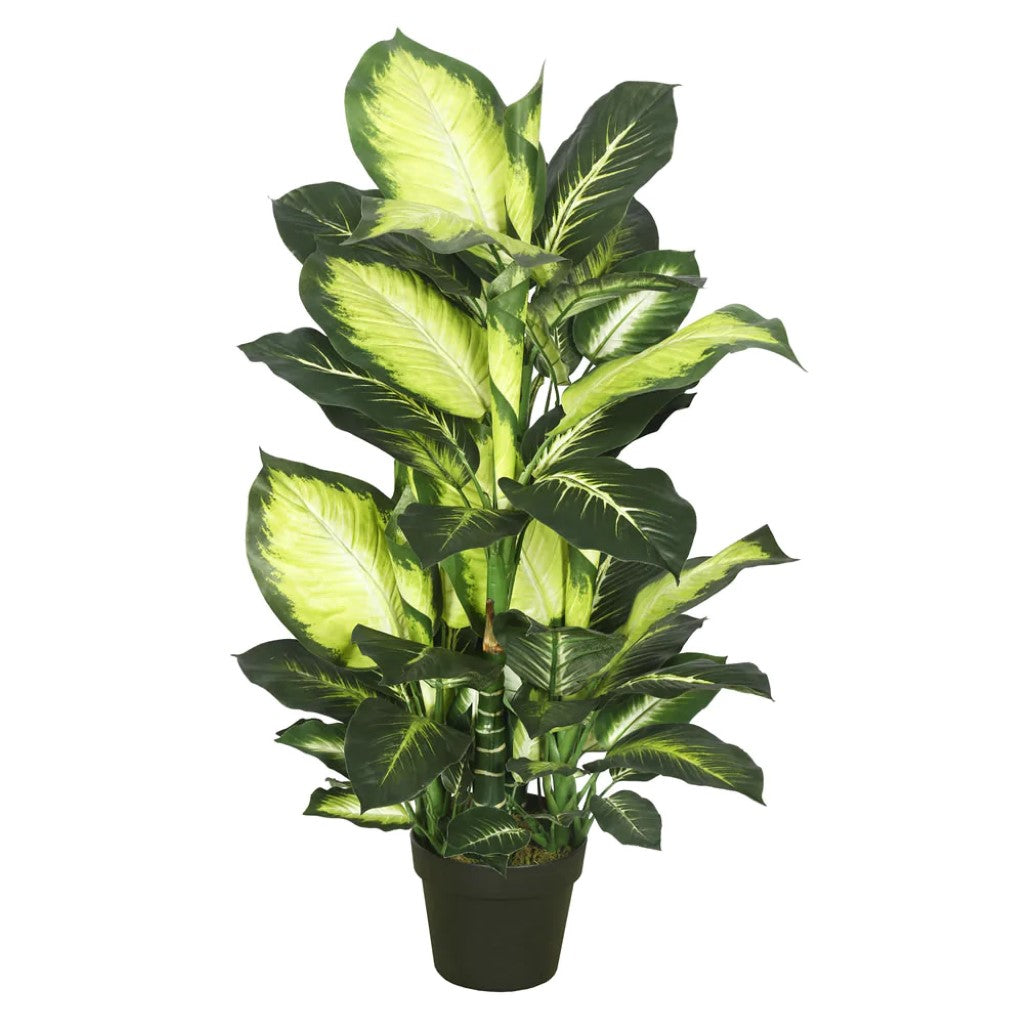 Artificial Plant : Dieffenbachia Green White with Pot-Green White - From World Famous Vickerman Products