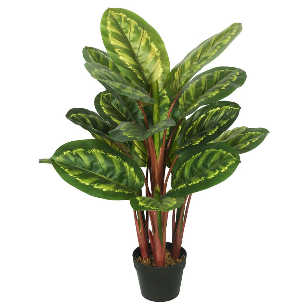 Artificial Plant : Calathea Peacock Plant - From World Famous Vickerman Products