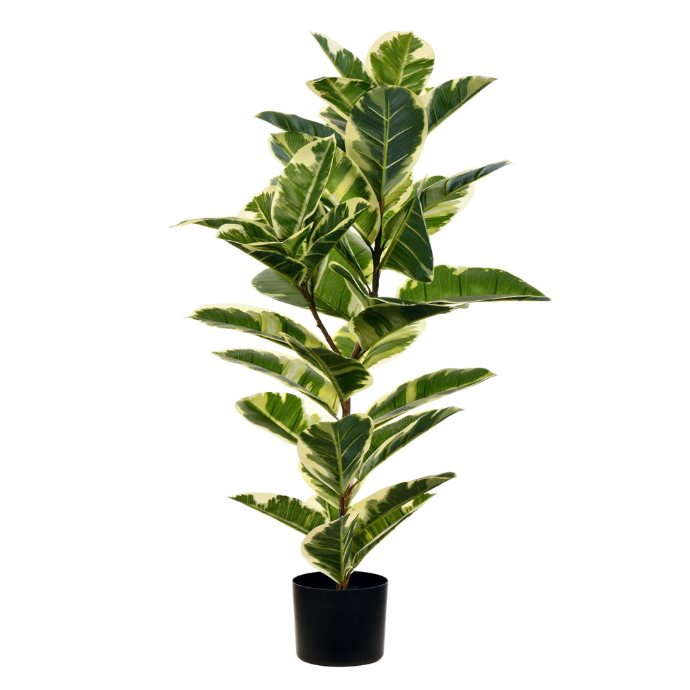 Artificial Plant : Potted Dieffenbachia Real Touch - From World Famous Vickerman Products