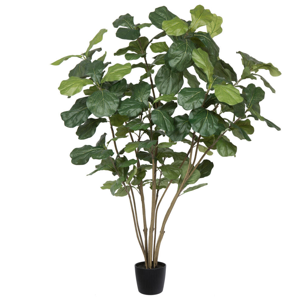Artificial Plant : Potted Fiddle Tree with Green Leaves - From World Famous Vickerman Products