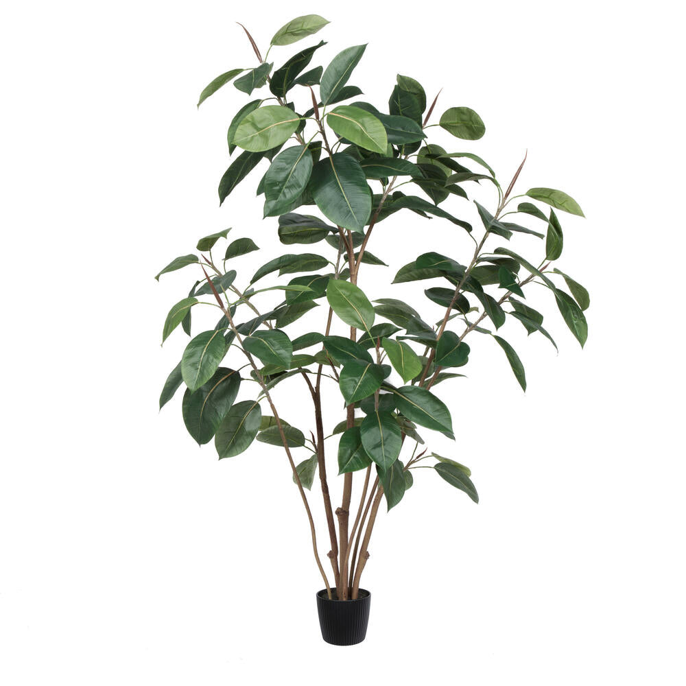 Artificial Plant : Potted Rubber Tree - From World Famous Vickerman Products