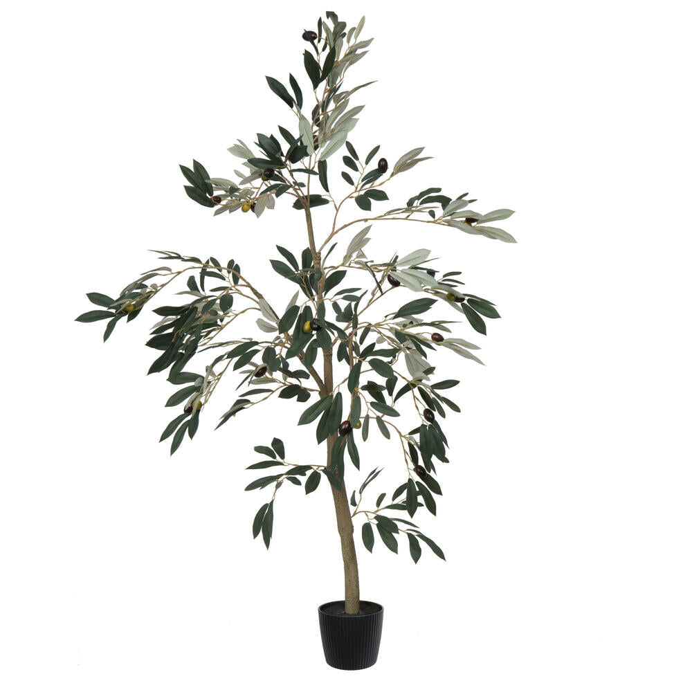 Artificial Plant : Potted Olive Tree - From World Famous Vickerman Products