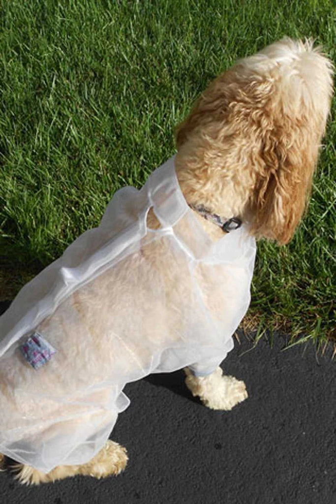 Dog Protective Jacket