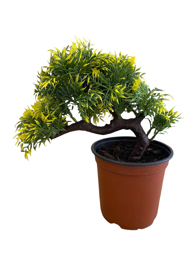 Gorgeous Bonsai with Very Attractive Pot with Yellow Tint leaves -Excellent Christmas Gift.. Looks Almost Real, Without The Hassle of Maintenance and Dying (Artificial Plant)