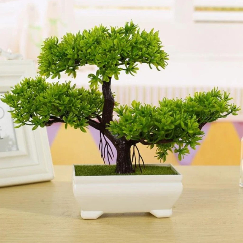 Gorgeous Bonsai with Very Attractive Pot with choice of your color -Excellent Gift.. Looks Almost Real, Without The Hassle of Maintenance and Dying (Artificial Plant)